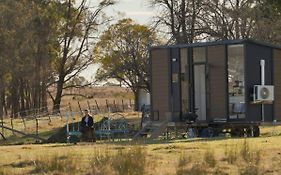 Little Argyle Tiny House By Tiny Away
